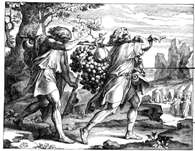 Some of the spies focused on the giant produce, some on the giants.